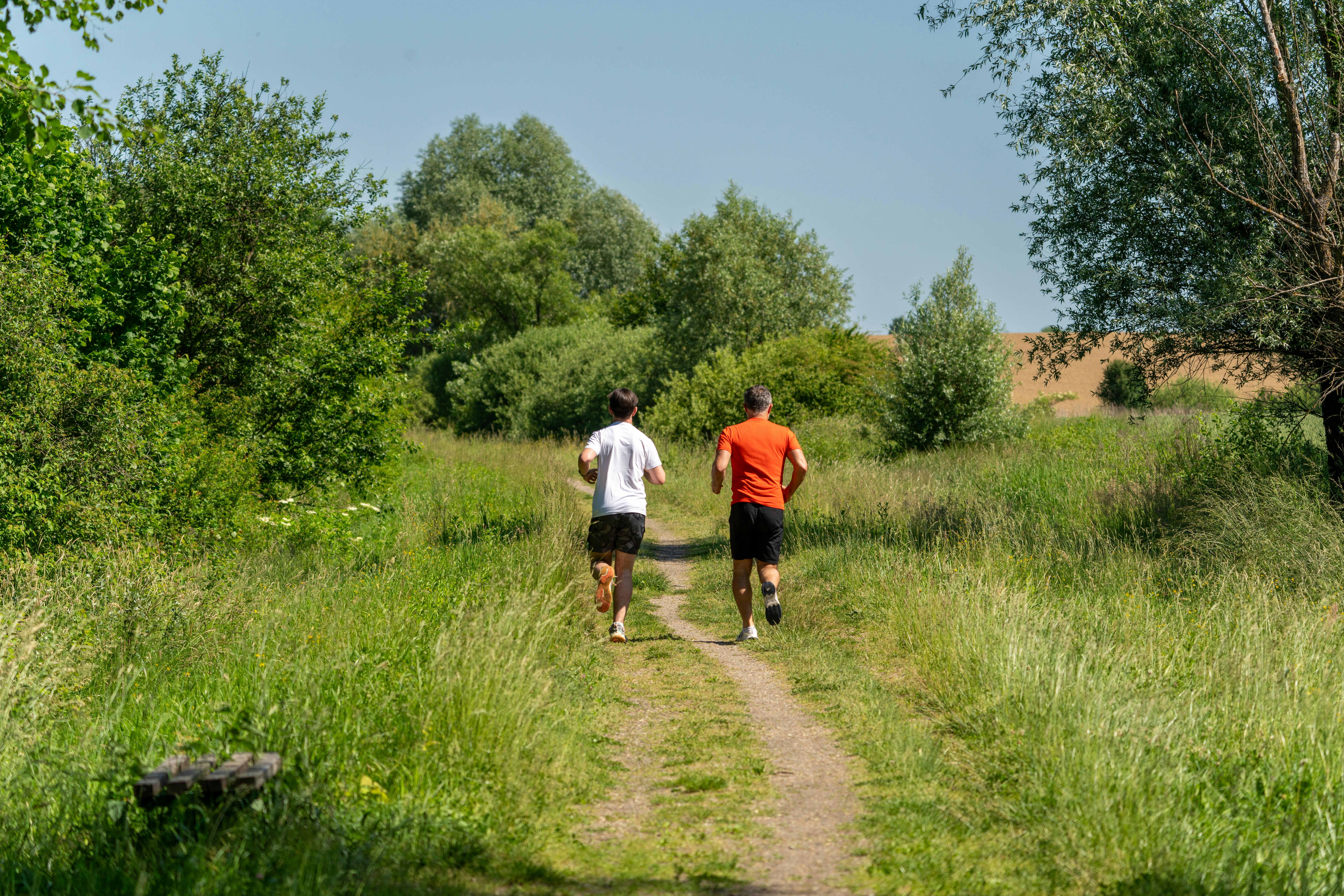 Sprint A Saurus - Beginner Base 8 Weeks Stay Fit 5K Running Plan